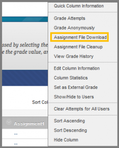 Assignment File Download | The American College of Greece – Blackboard
